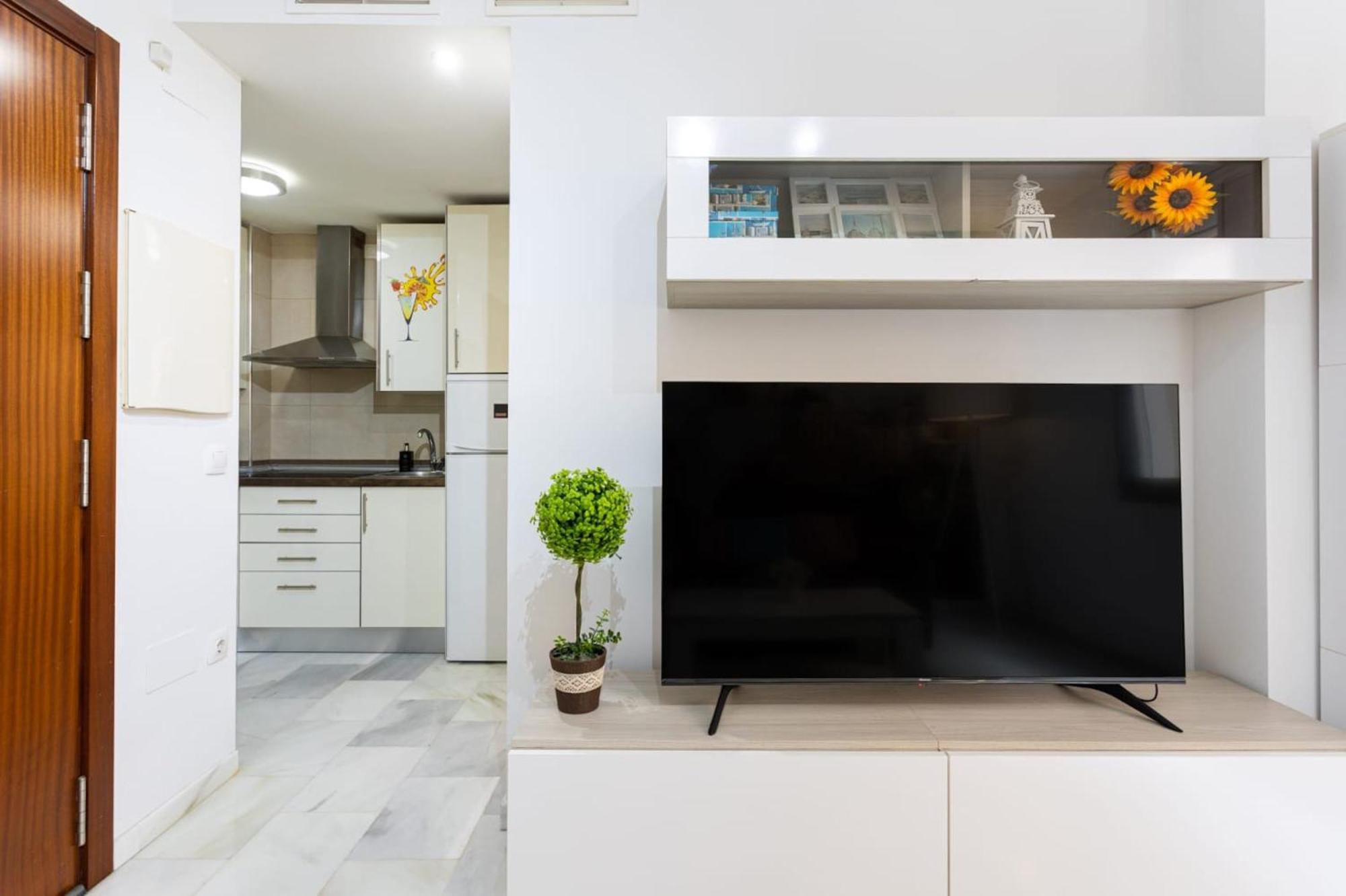 Holidays2malaga Salitre 45 High Speed Wifi Malaga